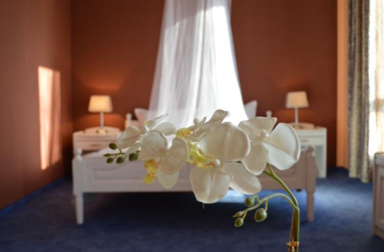 Hotel Shterev 소포트 외부 사진
